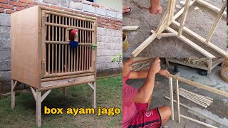 membuat kandang box satu ruang untuk ayam jago dengan kaki yang panjang