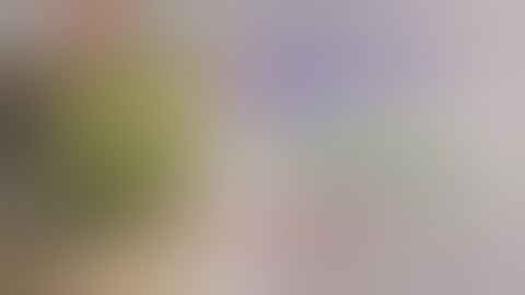 Hướng dẫn trồng bưởi || New 2020 || Rất hay Phải Biết