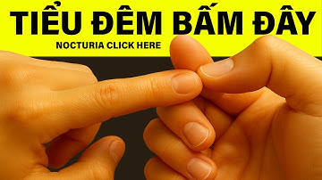 Kỳ Lạ! TIỂU ĐÊM - TIỂU NHIỀU Hết Ngay | HYT3