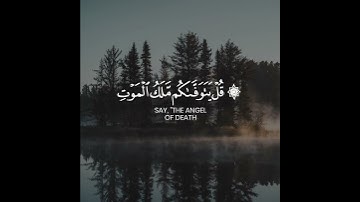 اكتب شئ تؤجر عليه 🤍🤍تلاوه هادئه مريحه للقلب ( اللهم تقبل منا 🤲 )