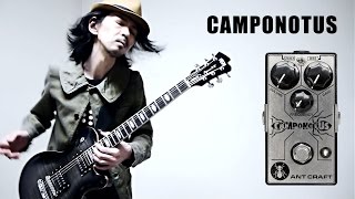 Ant Craft Camponotus Demo By Jake Cloudchair