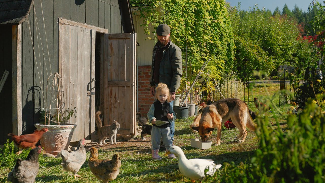 Peaceful Farm Life | First Frost, Morning Chores & Slow Living