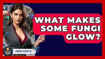 What Makes Some Fungi Glow? - Strange Science HQ