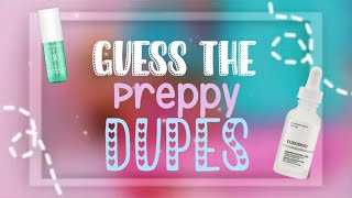 Guess the Preppy Dupes ✨⚡