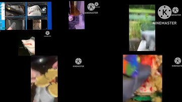 up to faster 10 shark puppet