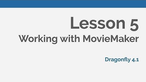 Dragonfly Daily 05 Working with the Movie Maker Dragonfly (2020)