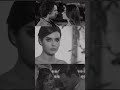 اغنية كردية حزينة حالات واتس اب كردي حزين مترجم اغاني كردي حزين2023Kurdish Music اغنية كردية حزينة حالات واتس اب كردي حزين مترجم اغاني كردي حزين2023Kurdish Music