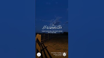 #تلاوة من #سورة_النمل بصوت #محمد_اللحيدان #قران #قرآن_كريم #آيات #استغفرالله #الحمدلله #quran