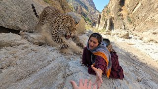 🐆⛰️ Zeinab’s Battle with a Leopard in the Zagros Mountains | Surviving Life in Harsh Conditions! 😱🔥