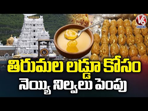 TTD Prepares Massive Ghee Stock for Laddu Making | V6 News - V6NEWSTELUGU