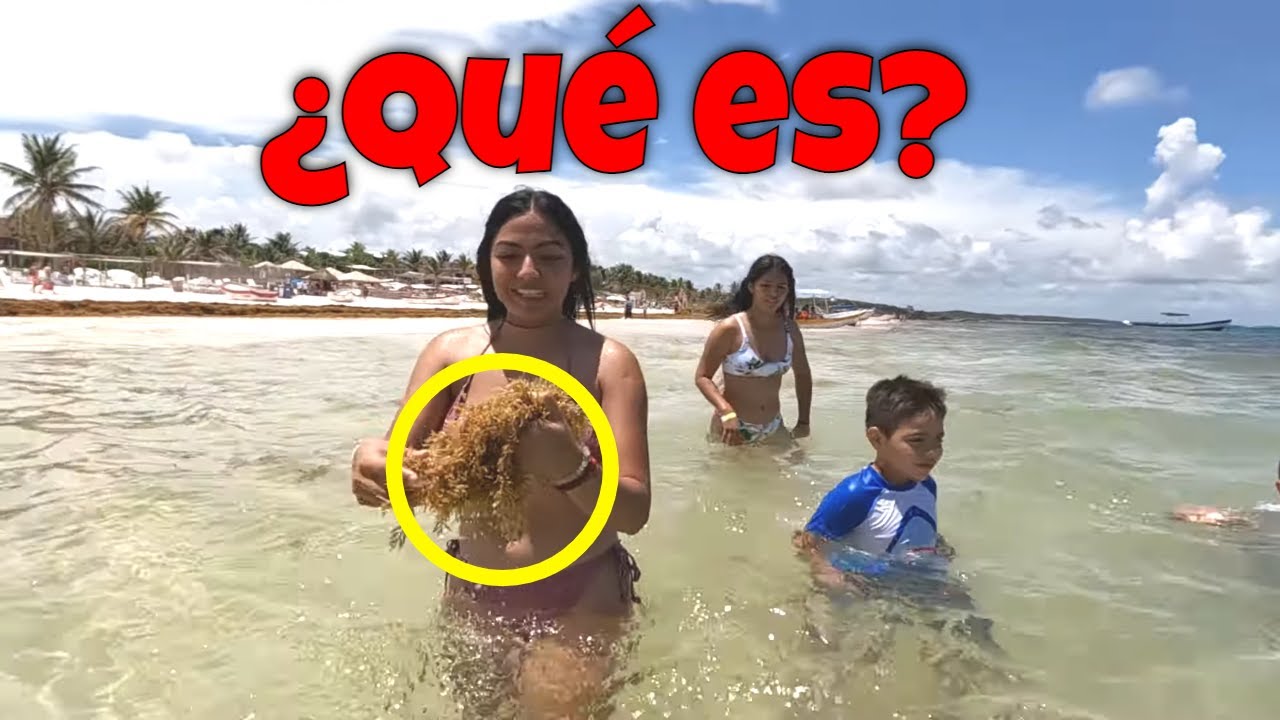 Nos damos una chapuzón para aprovechar el tiempo y encontramos esto en el agua