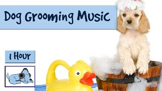 1 Hour of Calming Dog Music. Perfect for Grooming or Bathing your Pet!  #GROOM05