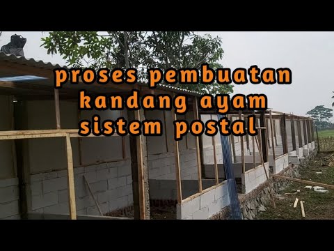 Proses pembuatan kandang ayam sistem postal