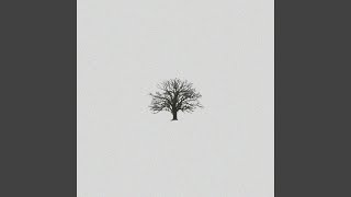 Seasons - John Michael Howell