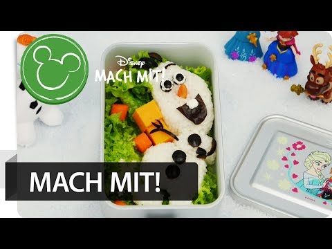 Koch-