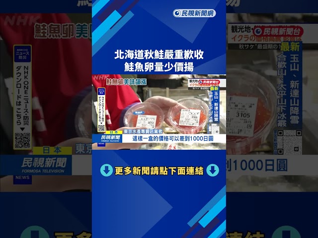 美味漲價！ 北海道秋鮭「撈捕量大減」 鮭魚卵價格飆漲－民視台語新聞