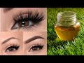 Eyebrows and Eyelashes growth faster and thicker | How to grow long healthy lashes