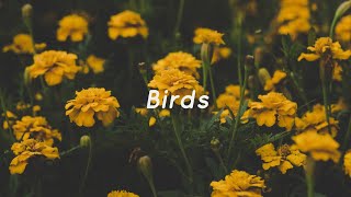 Electrelane - Birds (Slowed & Reverb)