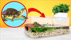 Simple and Cheap Red Eared Turtle Terrarium Tank DIY 