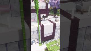 Study with me 🐾 Coding Cat | Minecraft