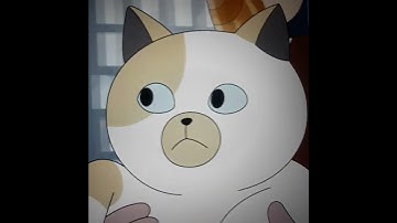 Сниппет полного эпизода Фиона и Кейк первая серия (озвучка от TvShows)