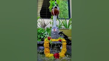 Shiv Shiv Shiv Shiv Aadi Anant Shiv Yogi Mahadev Status