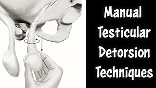 Manual Testicle Detorsion and Torsed Testicle Traction Technique