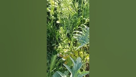 #تلاوة تبكي القلوب #تلاوة خاشعة #سورة يوسف #عبد العزيز سحيم