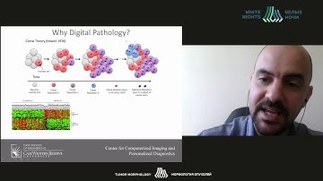 Computatonal pathology: Towards precision medicine (Andrew Janowczyk)