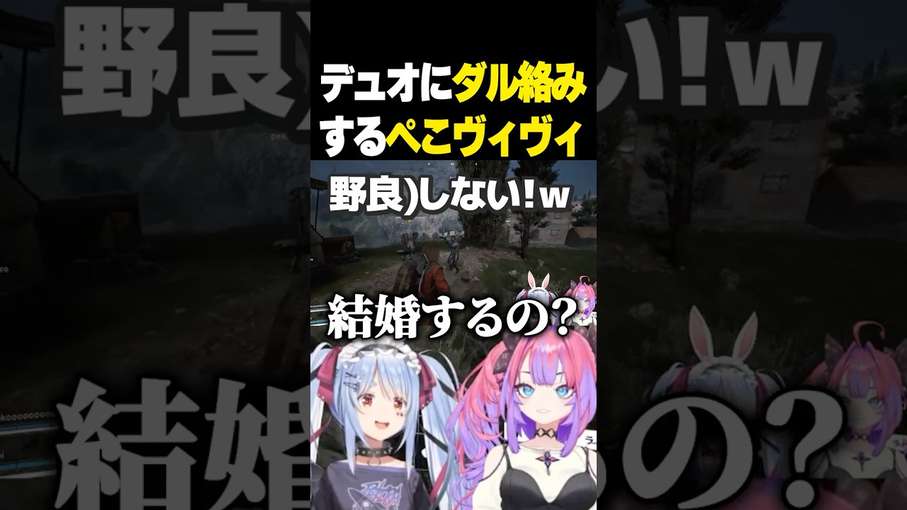 野良デュオにVCでダル絡みするぺこヴィヴィｗ【ホロライブ切り抜き/綺々羅々ヴィヴィ/兎田ぺこら/UsadaPekora】