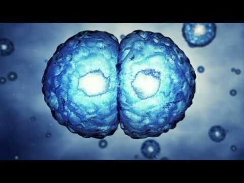 Akciğer Kanser Aşısı Nedir? Kimlere Yapılır?