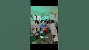 Visualizing DNA Samples on Gel using a TRANSILLUMINATOR #transilluminator #ipmb2023