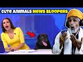 Villagers React To Cute Animals News Bloopers ! Tribal People React To  Animals Vs News Reporters
