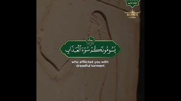 "ولما جاء موسى لميقاتنا وكلمه ربه" سورة الأعراف SURAH AL-ARAF | #عبدالولي_الاركاني