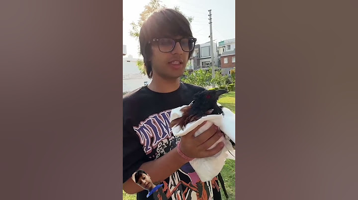 bird ko finally bye bol diya 😄#shorts #viral #souravjoshivlogs