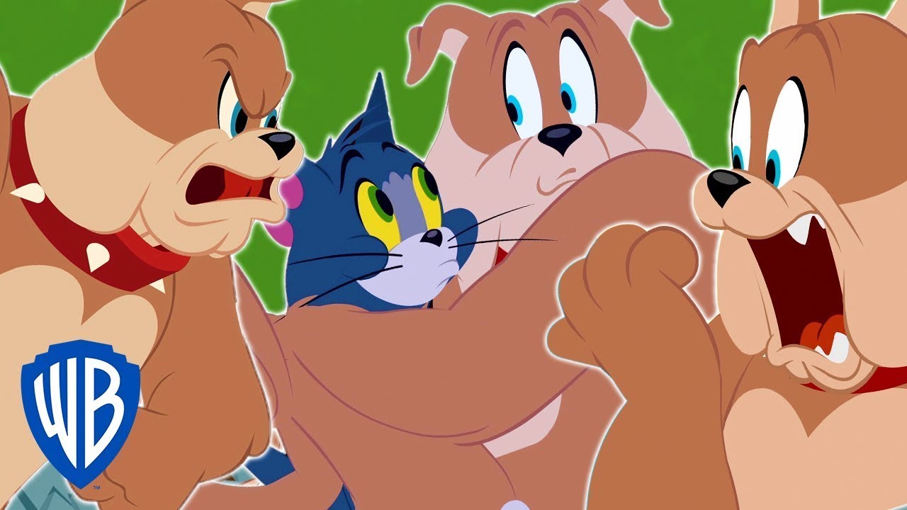 Tom et Jerry en Français | Meilleur de Spike