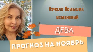 видео: ДЕВА - ПРОГНОЗ ТАРО НА НОЯБРЬ 2025 ГОДА картинка: ДЕВА - ПРОГНОЗ ТАРО НА НОЯБРЬ 2025 ГОДА