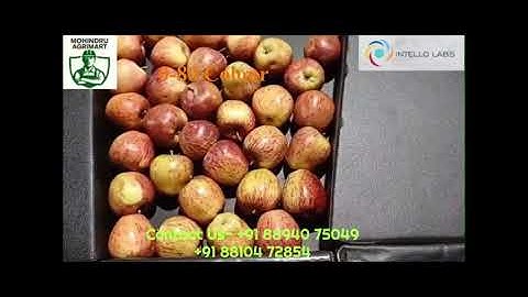 Revolutionizing Apple Sorting in Himachal | AI Fruit Grading Tech in Action