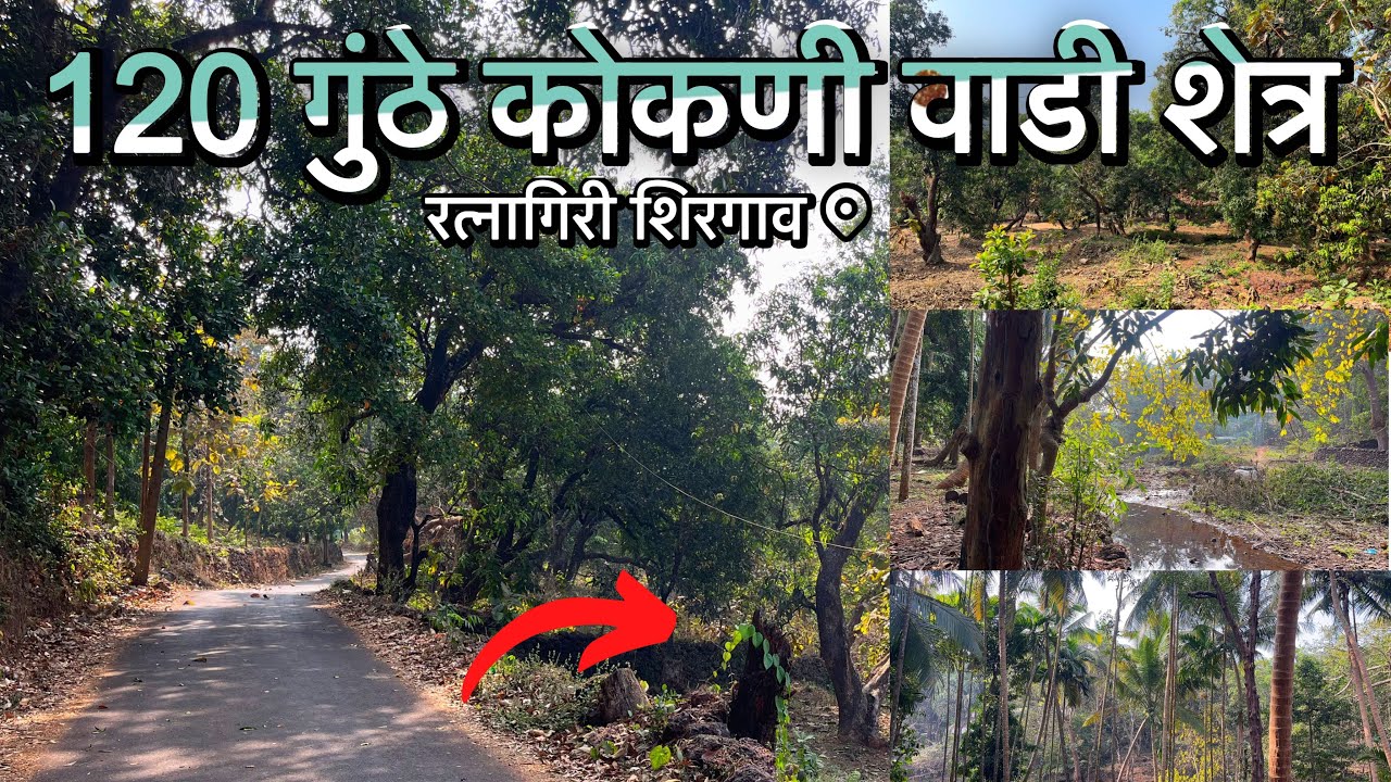 🍃कोकणी 🌴वाडी आपल्या साठी आहे रत्नागिरी शिरगाव👀 good location❗️#konkan #konkanproperty #viral 