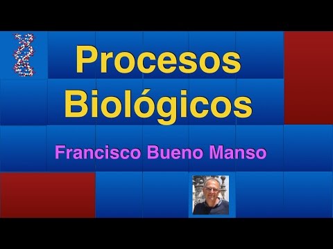 Vídeo: La Parálisis Muscular Facial Inducida Por Toxina Botulínica Afecta Las Respuestas De La Amígdala A La Percepción De Las Expresiones Emocionales: Hallazgos Preliminares De Un Diseño