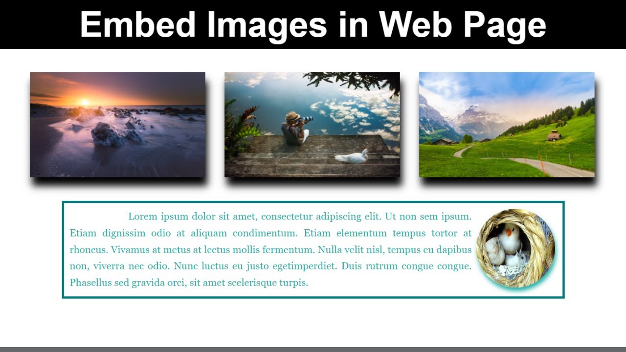 How to Insert Images in Web Page Using HTML and CSS| Create Rounded ...
