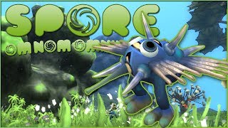その他 P. hillii Aor Chao spore #1 P. hillii Aor Chao spore #1【artPLANTs】ビカクシダ