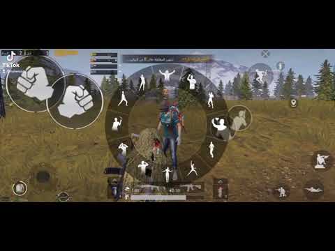 هنا القاهره