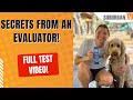 How to pass the akc canine good citizen test cgc test