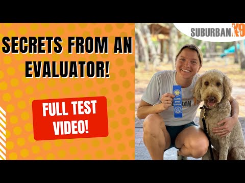 Video: Tricks to Passing the AKC Canine Good Citizen Test