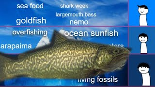 The Fish Iceberg Explained: Part 1 Update