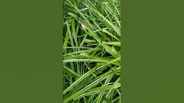 Commands of Jesus # 6: Do Not Commit Adultery