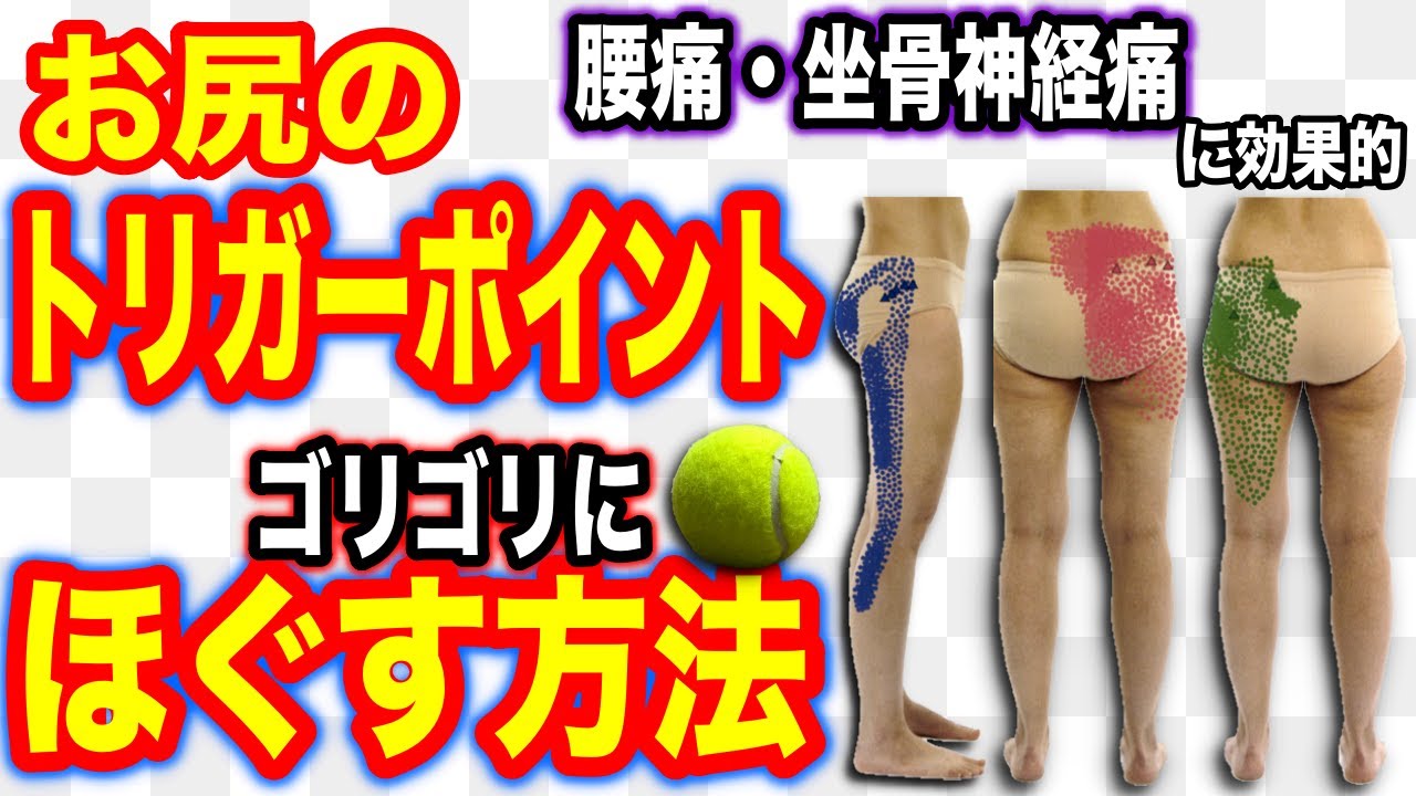 お尻のトリガーポイントをテニスボールを使ってゴリゴリにほぐす方法 腰痛 坐骨神経痛を改善に効果的 Youtube