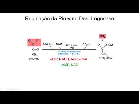 Vídeo: A piruvato desidrogenase produz co2?