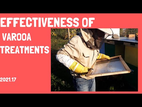 check the effectiveness